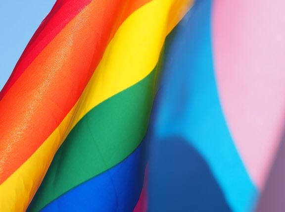 LGBTQ+ & Trans Flag