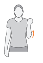 Tennis Elbow - Elbow Bends